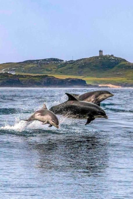 Cosy Portmor Log Cabin- Sea Views, Deck & Relaxation Malin Head Bagian luar foto
